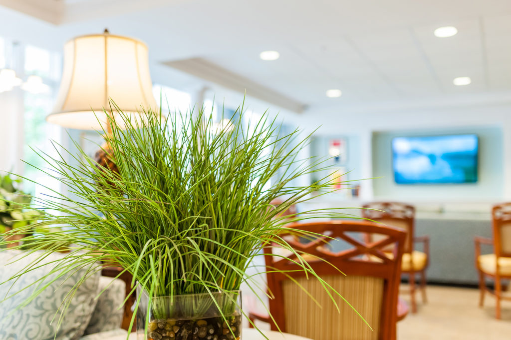 Grass plant on coffee table in retirement community common space