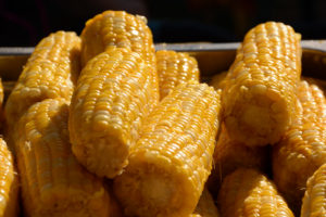 Cooked corn on the cob