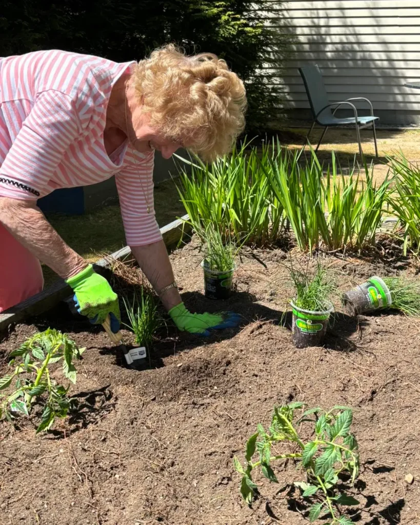 Senior in Assisted Living gardening at Allerton House Hingham